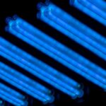 UV-C light bulbs