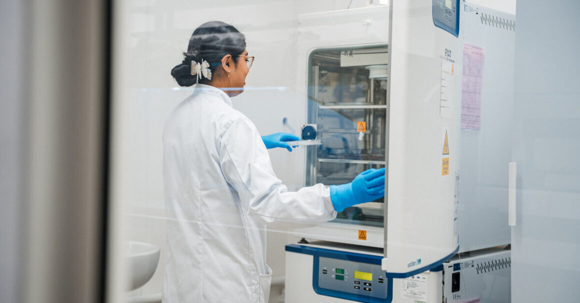 Cytotoxicity Testing