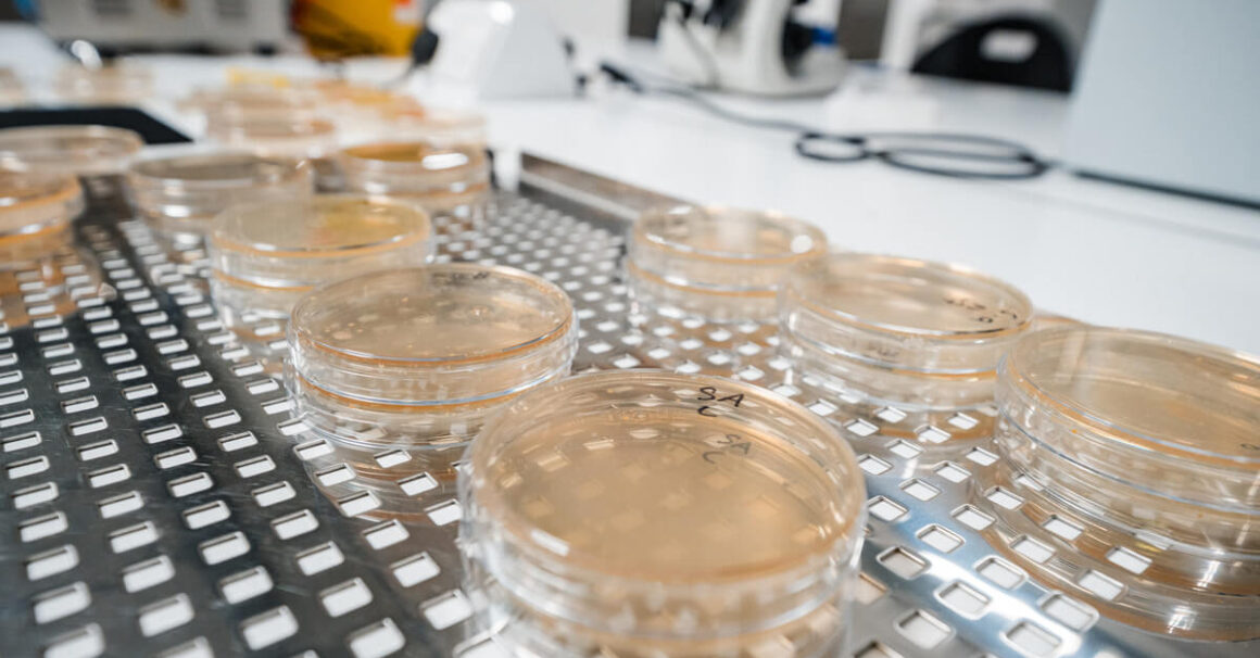 Manual Disinfection: Everything You Need to Know Image