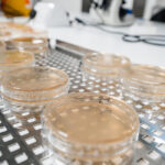 Manual Disinfection: Everything You Need to Know Image