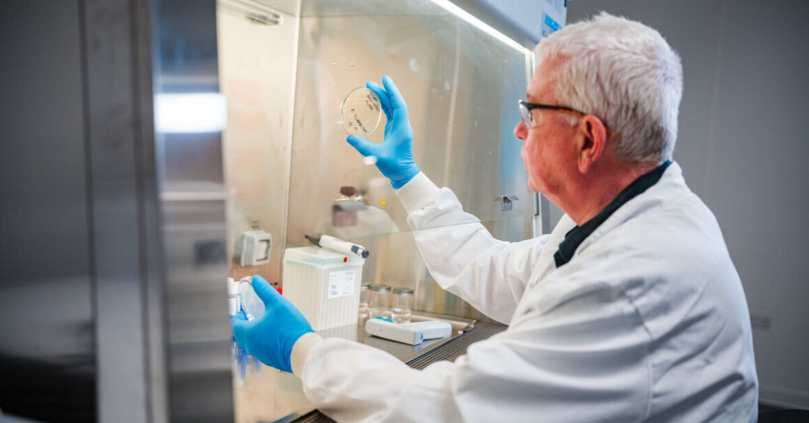 Reusable Medical Device Disinfection Validation: Everything You Need to Know Image