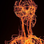 Biological Evaluation and Me Image